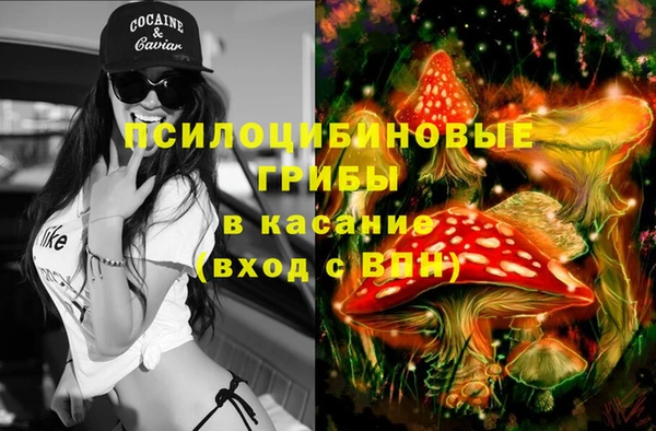 амф Абинск